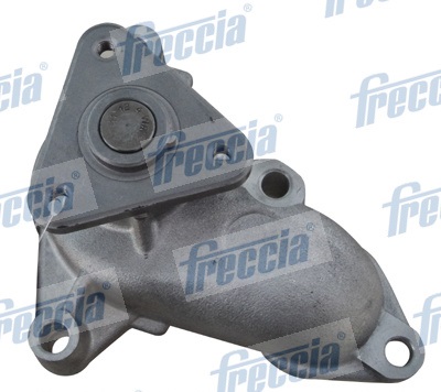 WP0451 FRECCIA
