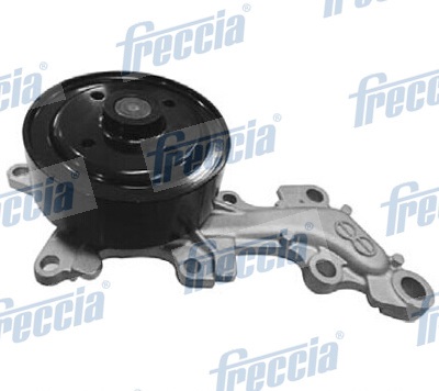 WP0513 FRECCIA